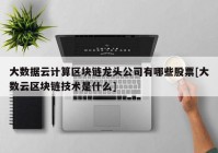 大数据云计算区块链龙头公司有哪些股票[大数云区块链技术是什么]